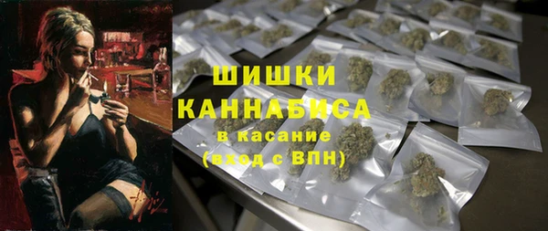 молекула духа Богородск